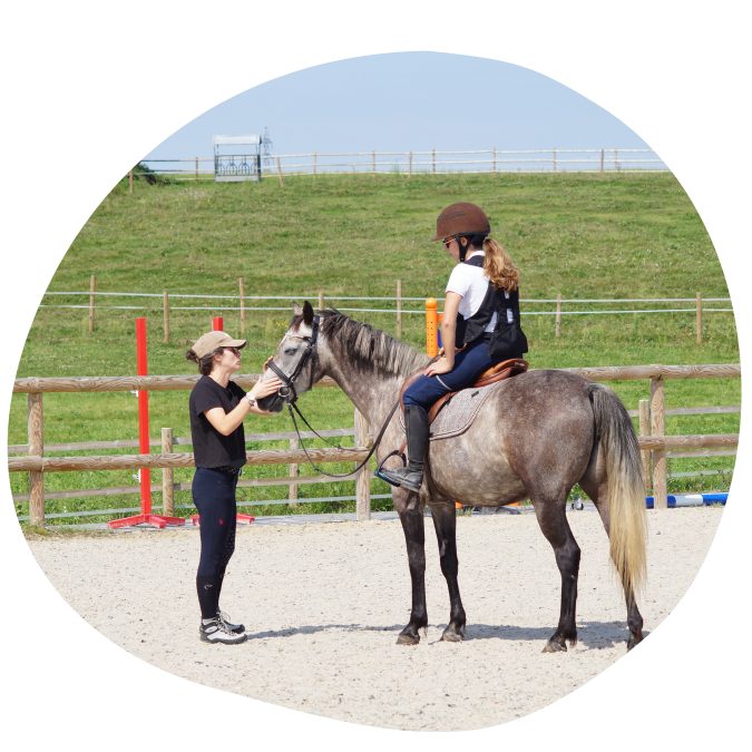 entraînement du cheval et du cavalier